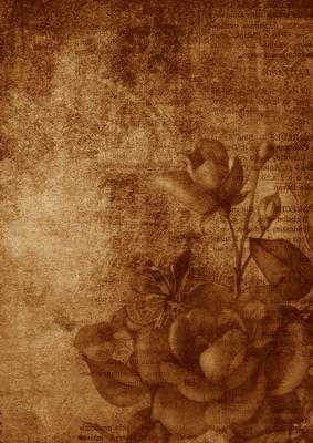 Original Vintage Tea Rose A4 Backing Paper