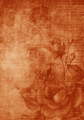 Vintage Tea Rose Burnt Orange A4 Backing Paper
