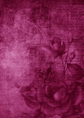 Vintage Tea Rose Deep Pink A4 Backing Paper