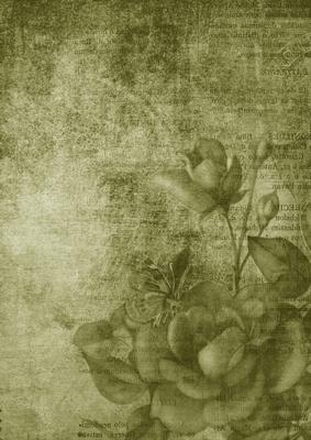 Vintage Tea Rose Olive A4 Backing Paper