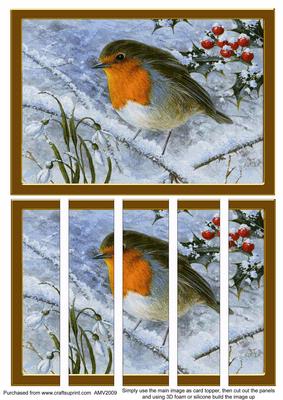 Christmas Robins Berries Card Front and Panels