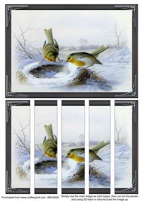 Christmas Robins Card Front and Panels