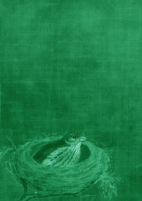 Birds Nest Green A4 Backing Paper