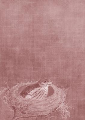 Birds Nest Smokey Pink A4 Backing Paper