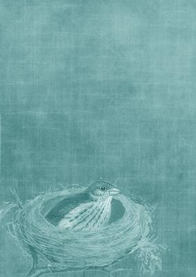 Birds Nest Smokey Teal A4 Backing Paper