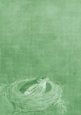 Birds Nest Mid Green A4 Backing Paper