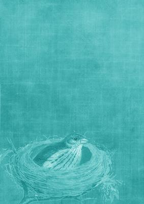 Birds Nest Teal A4 Backing Paper