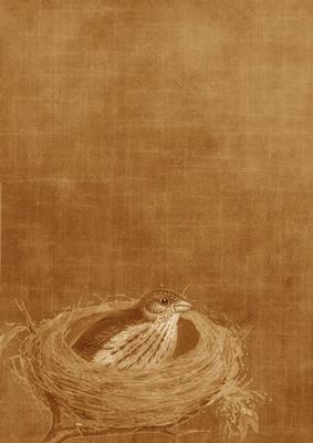 Birds Nest Original Vintage Tea A4 Backing Paper