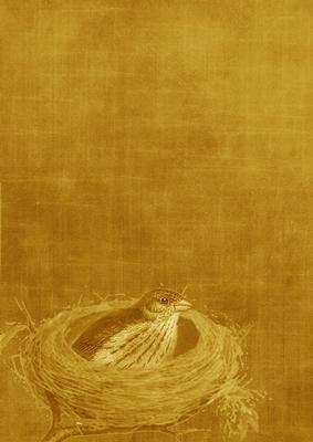 Birds Nest Vintage Gold A4 Backing Paper