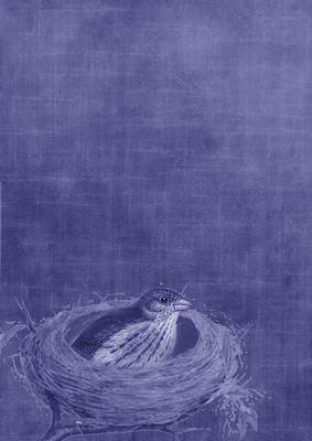Birds Nest Vintage Blue A4 Backing Paper