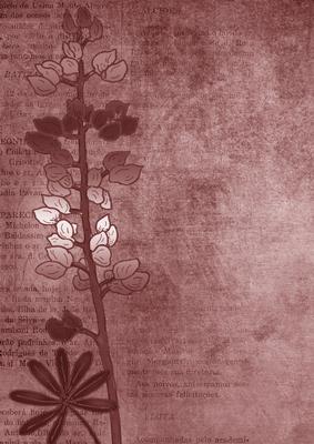Lupin Edge Smokey Pink A4 Backing Paper