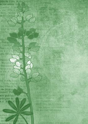 Lupin Edge Mint Green A4 Backing Paper