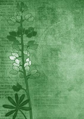 Lupin Edge Dark Green A4 Backing Paper