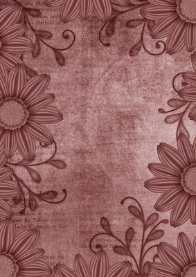 Daisy Edge Smokey Pink A4 Backing Paper