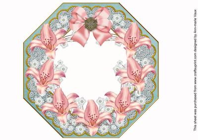 Pink Lily D Teal Lace Octagon 8inch Frame Sheet