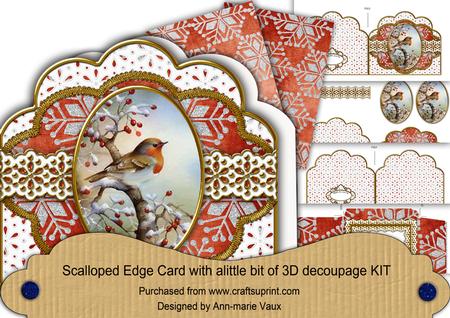 Robin2 Silver Glitter Anglaise Scallop Step by Step Card Kit