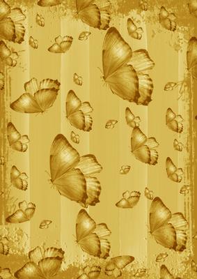 Gold Butterfly Painted Dolly Stripe A4 Backing Paper