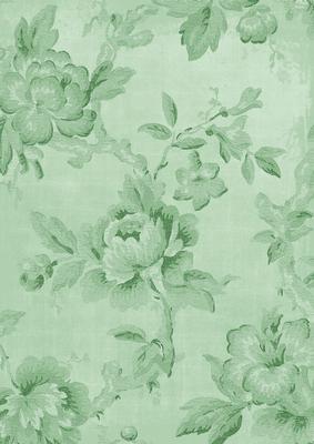 Mint Green Textured Roses A4 Backing Paper
