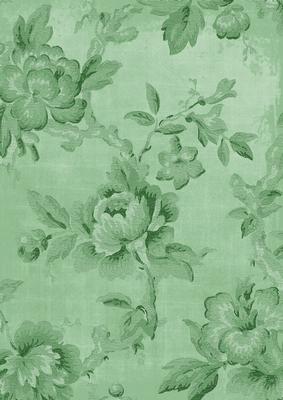 Mid Green Textured Roses A4 Backing Paper