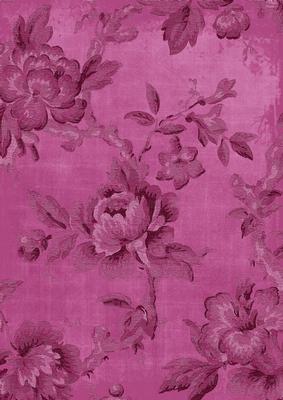 Cerise Textured Roses A4 Backing Paper