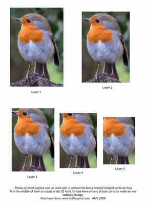 Christmas Bobby Robin2 Pyramid Toppers
