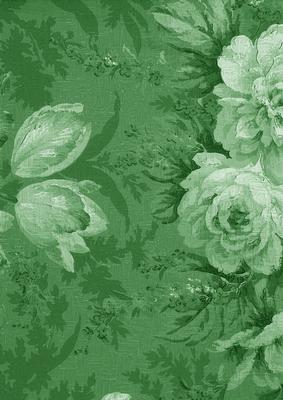 Mid Green Large Rose Blooms A4 Backing Paper