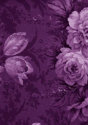 Purple Large Rose Blooms A4 Backing Paper