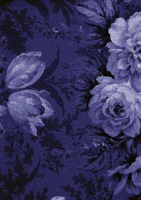 Dark Blue Large Rose Blooms A4 Backing Paper