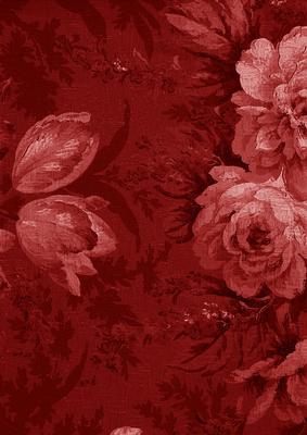 Dark Red Large Rose Blooms A4 Backing Paper