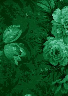 Dark Green Large Rose Blooms A4 Backing Paper