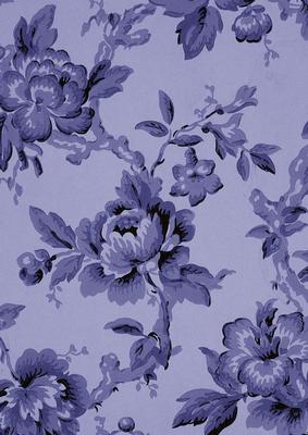 Dark Blue Plain Rose Wallpaper A4 Backing Paper