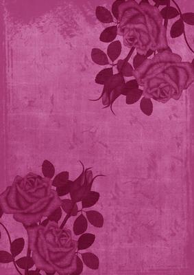 Cerise Old Rose Corners A4 Backing Paper