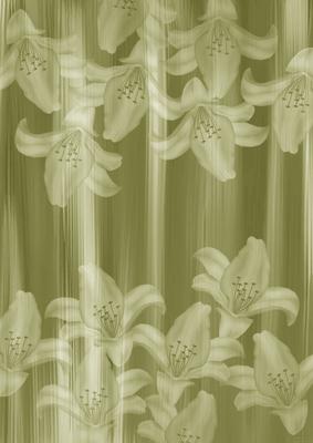 Olive Painted Lily Sides A4 Backing Paper