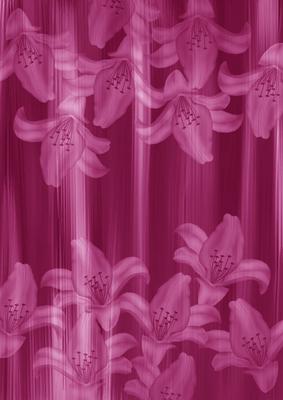 Cerise Painted Lily Sides A4 Backing Paper