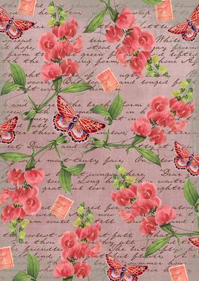 Dusky Pink Coloured Sweet Pea Stamp A4 Backing Paper