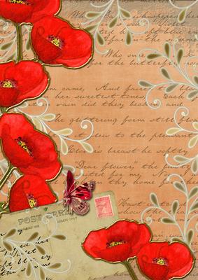Burnt Orange Red Poppy Postcard A4 Backing Paper