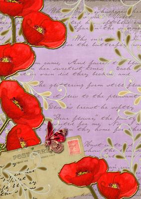 Lilac Red Poppy Postcard A4 Backing Paper