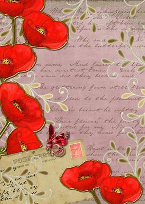 Dusky Pink Red Poppy Postcard A4 Backing Paper