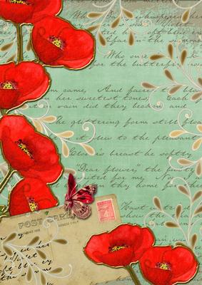 Mid Green Red Poppy Postcard A4 Backing Paper