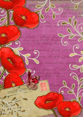 Cerise Red Poppy Postcard A4 Backing Paper
