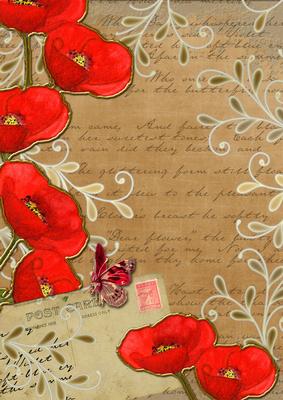 Vintage Tea Red Poppy Postcard A4 Backing Paper