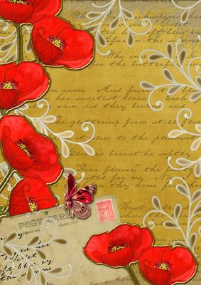 Gold Red Poppy Postcard A4 Backing Paper