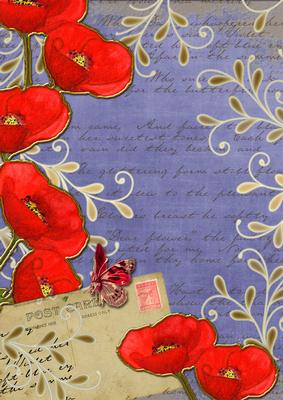 Dark Blue Red Poppy Postcard A4 Backing Paper