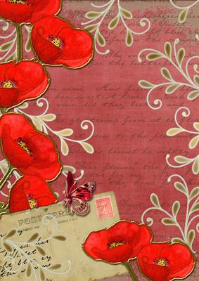 Dark Red Poppy Postcard A4 Backing Paper