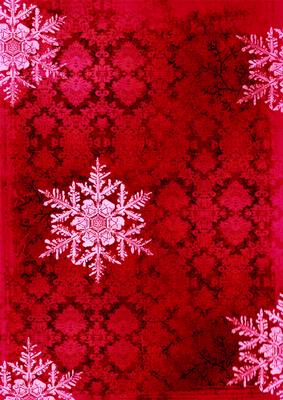 Christmas Poinsettia Backing Paper