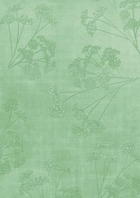 Mid Green Embossed Dainty Gypso A4 Backing Paper