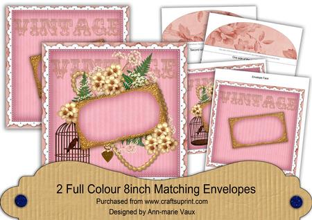 Vintage Pink Birdcage Pink 8in Envelope Kit