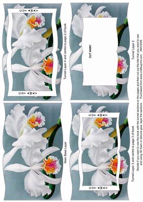Calm Orchid Tunnel Book Sheet