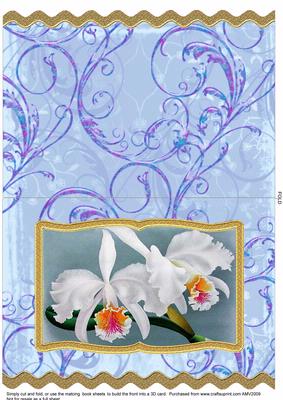 Calm Orchid Wavy Edge Book Card