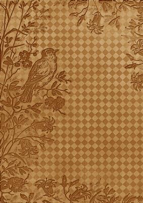 Vintage Tea Bird Edge Check A4 Backing Paper